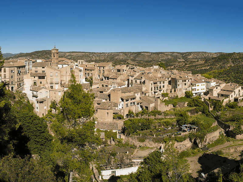 VIII Letur Trail 2025